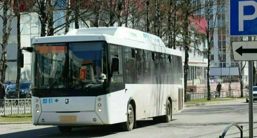 В Коми появятся 55 новых автобусов Higer