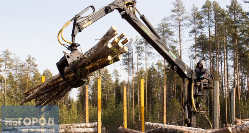 В Коми финансирование лесной отрасли увеличат на 70 миллионов рублей 