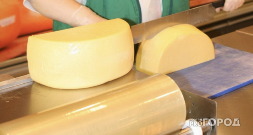 "Кусок пальмы": Роскачество назвало сыр, который лучше обходить стороной