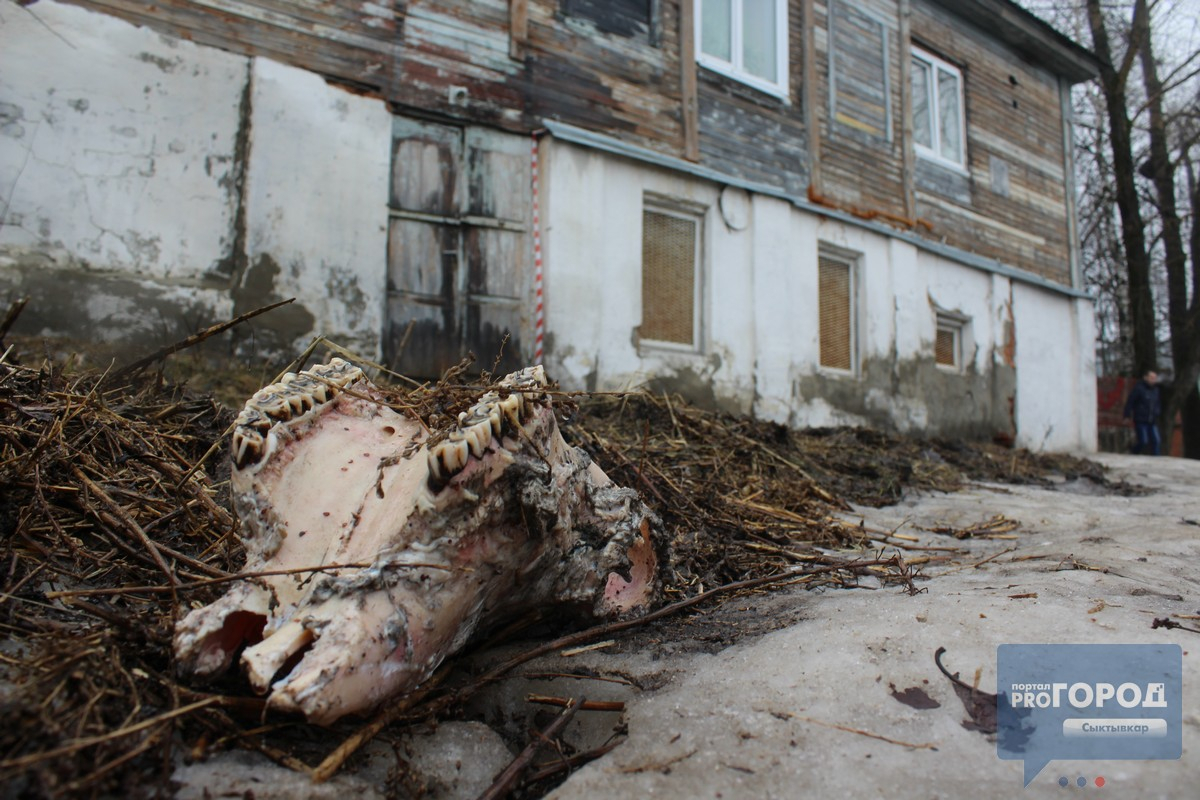 В Сыктывкаре обрушился дом, но его жители не хотят оттуда съезжать (фото)