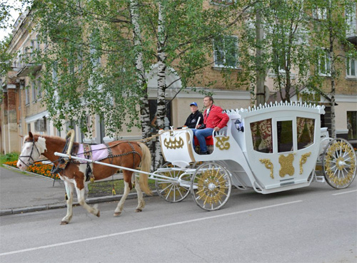 Сыктывкарцев будут катать на карете с лошадьми за 25 рублей