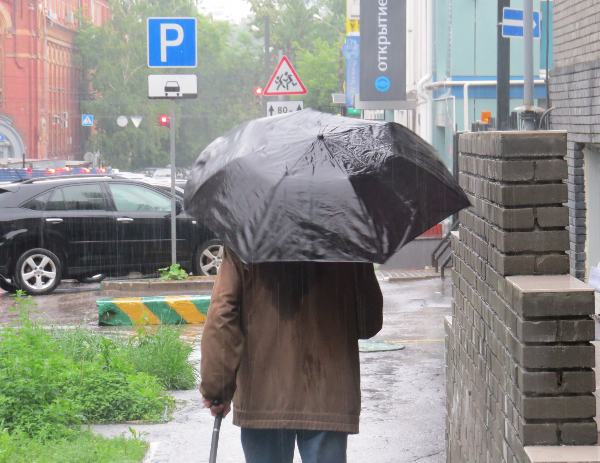 Погода на 15 июня: сыктывкарцев ожидает дождь