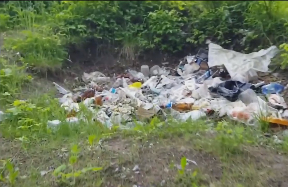 Сыктывкарец снял видео, как самый чистый район города превращается в свалку