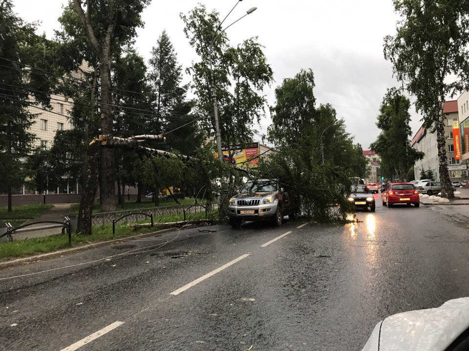 В центре Сыктывкара ураган свалил дерево на «Ленд Крузер» (фото)