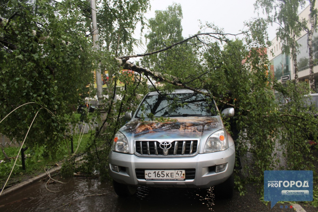 Появилось видео момента, как в центре Сыктывкара на "Ленд Крузер" упало дерево