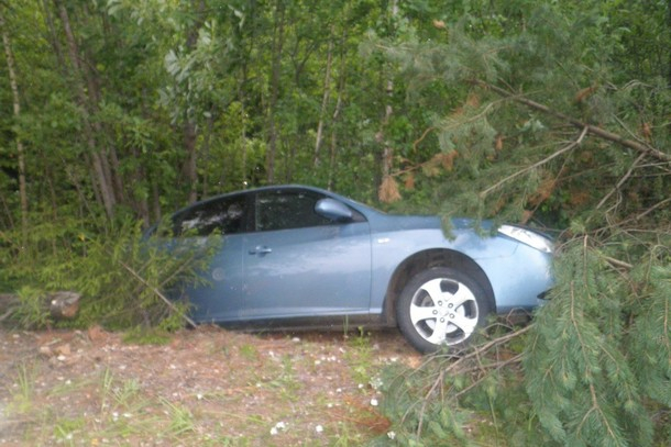 В Коми пьяный мужчина на Hyundai протаранил дерево и попал в больницу