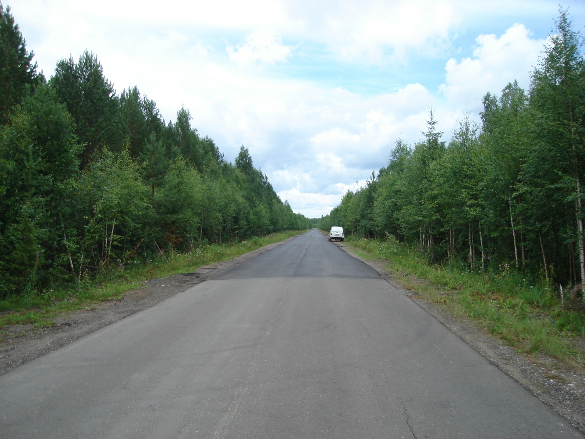 В Коми прогулка по лесной дороге закончилась для мужчины трагедией