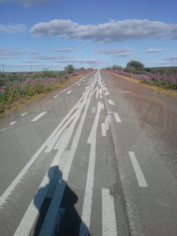 В Коми разметка на дороге вводит в ступор даже опытных водителей (фото)