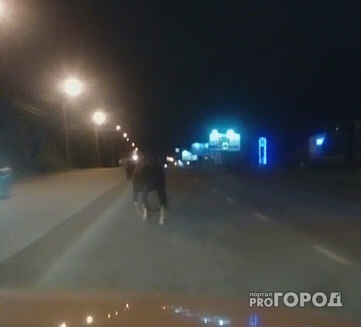 В Сыктывкаре по оживлённой трассе среди машин ежедневно скачут лошади (фото)