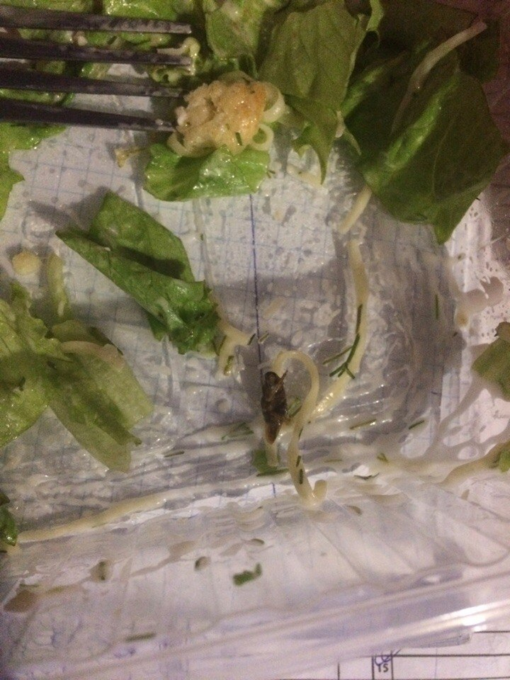 Сыктывкарка обнаружила мертвого таракана в салате, который заказала на дом (фото)