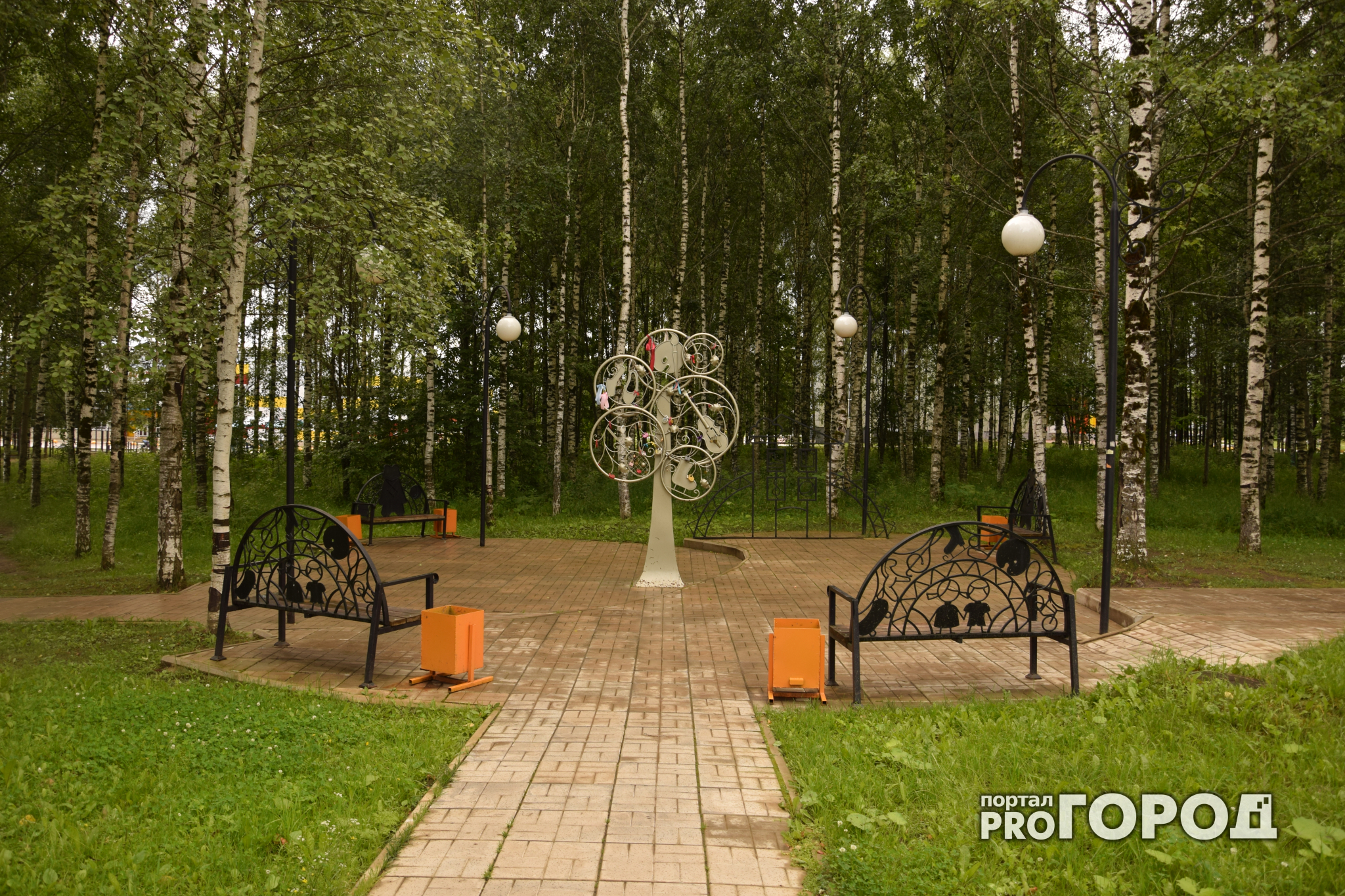 Сыктывкарцы возмущены проектом реконструкции Мичуринского парка