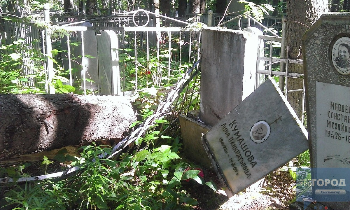 На сыктывкарском кладбище деревья разрушили могилы (фото)