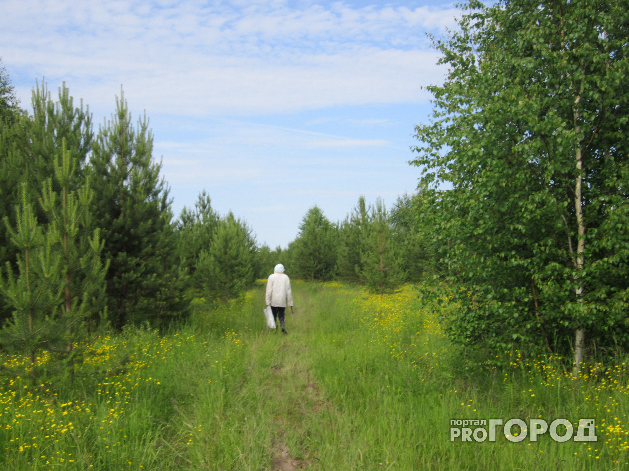 Житель Коми прошел 400 километров пешком, чтобы не видеть родных