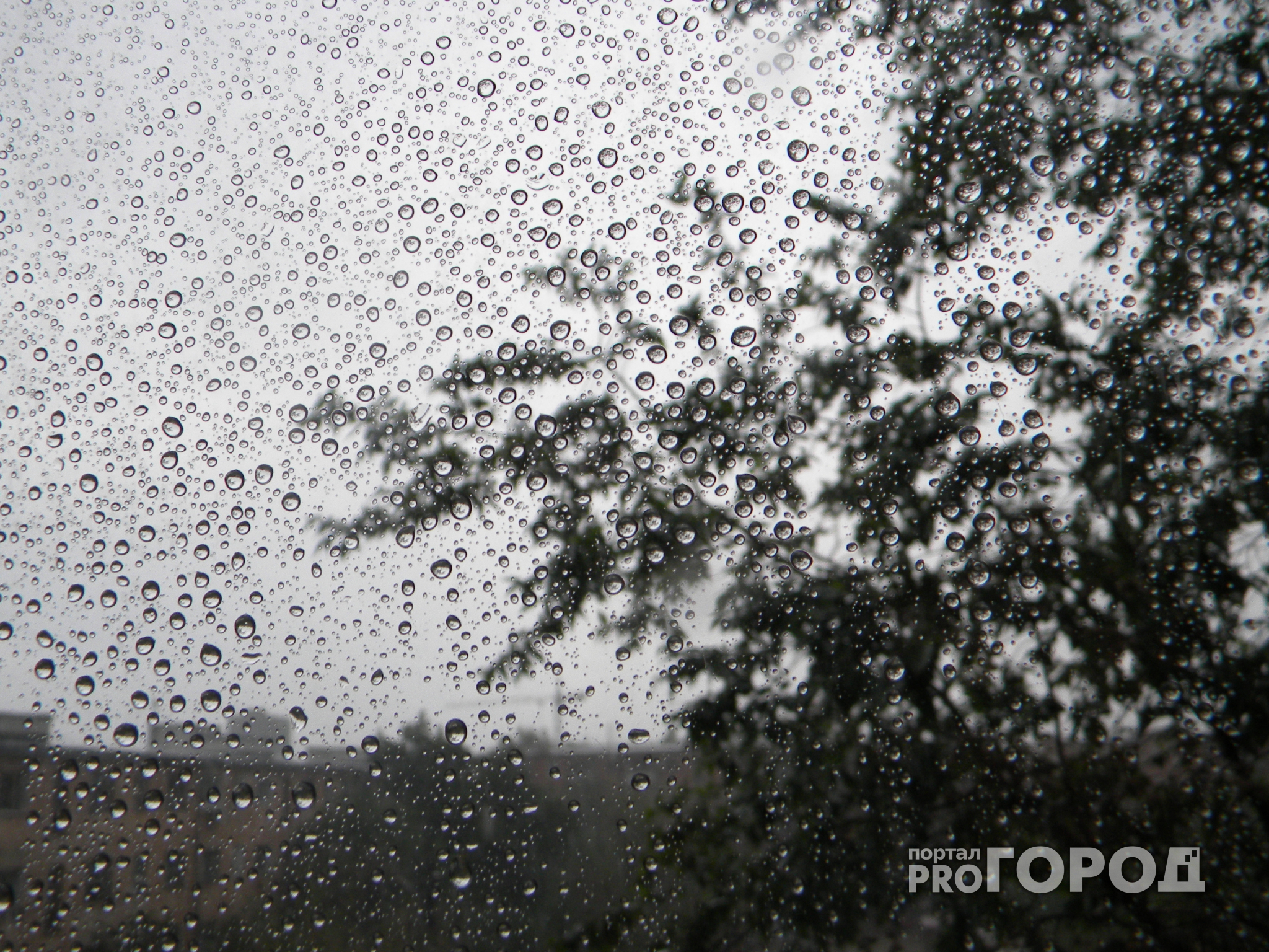 Синоптики рассказали, какая погода будет в Сыктывкаре на последней неделе лета