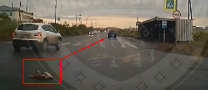 Видеорегистратор заснял, как в Коми водитель иномарки хладнокровно переехал щенка (видео)