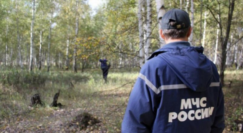 В Сыктывкаре мужчину парализовало в лесу за базой «Динамо»