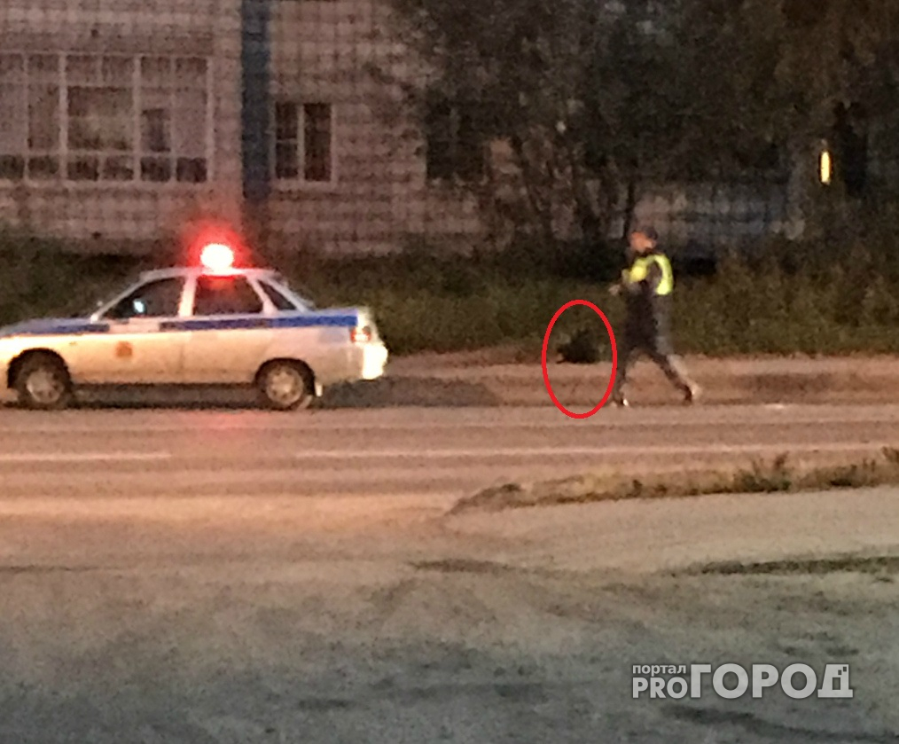 Из-за угрозы взрыва полиция Сыктывкара оцепила улицу (фото)