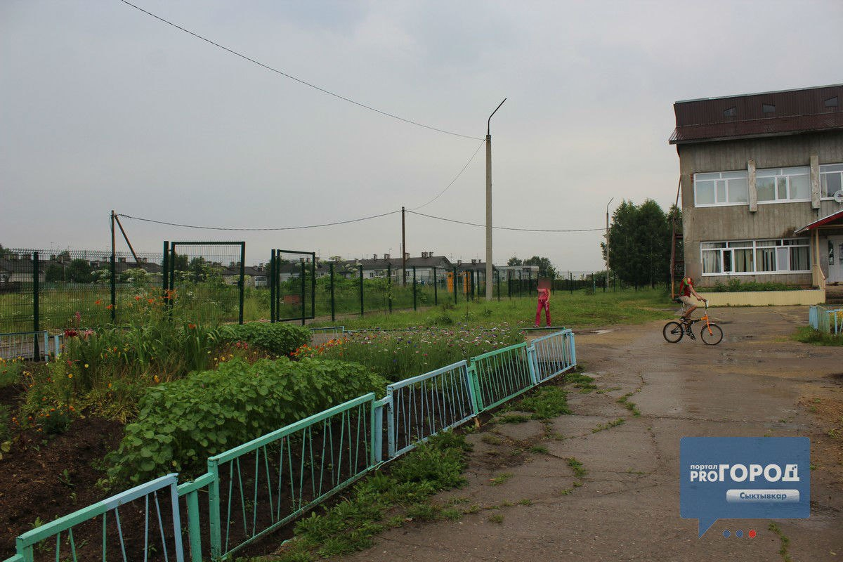В Коми уволили воспитательницу, которая рассказала, как сироты рубили борщевик