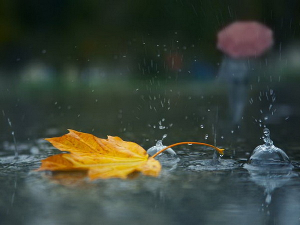 Погода в Сыктывкаре на 17 октября: холод и дождь вновь вернутся