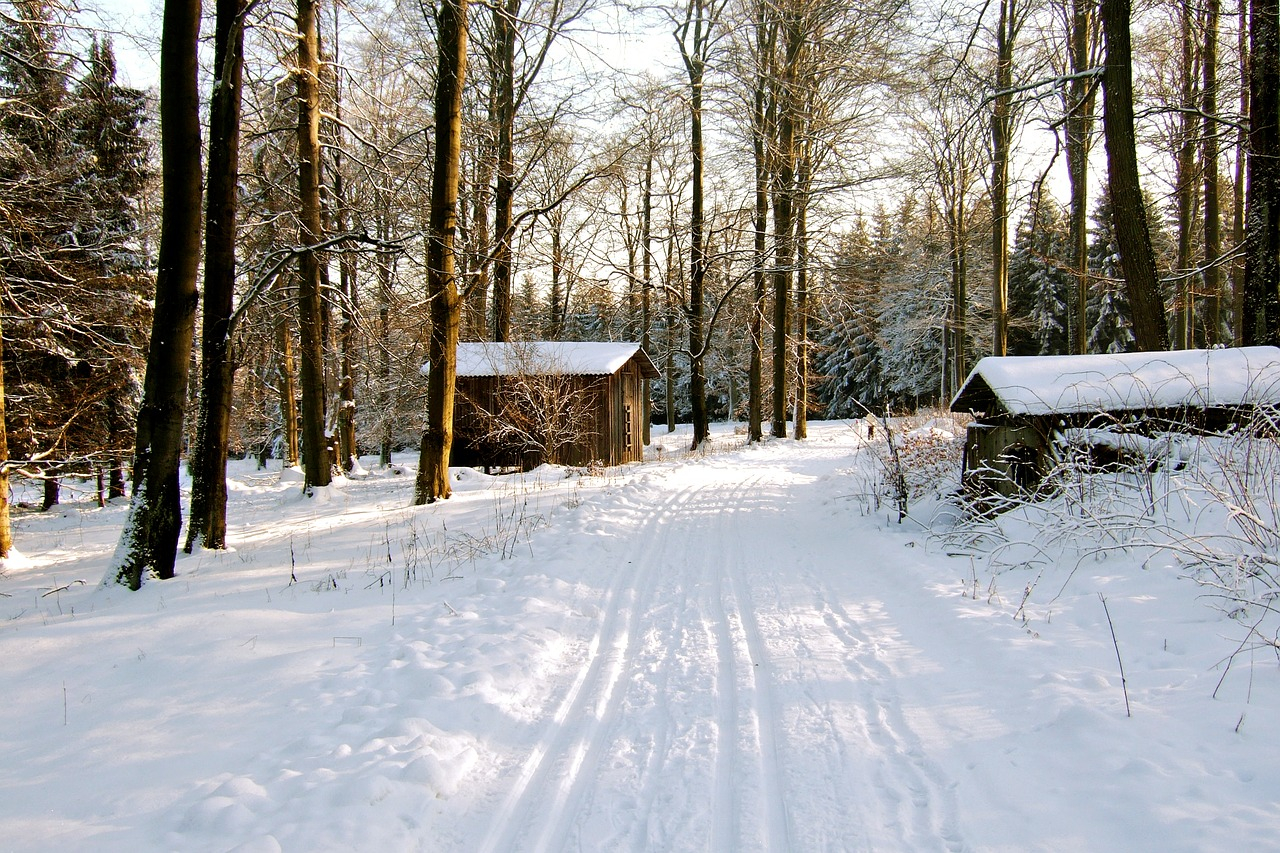 Погода в Сыктывкаре 10 декабря: небольшой снег и южный ветер
