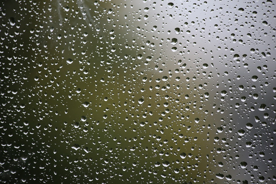 Погода в Сыктывкаре на 25 октября: дождь будет лить целый день