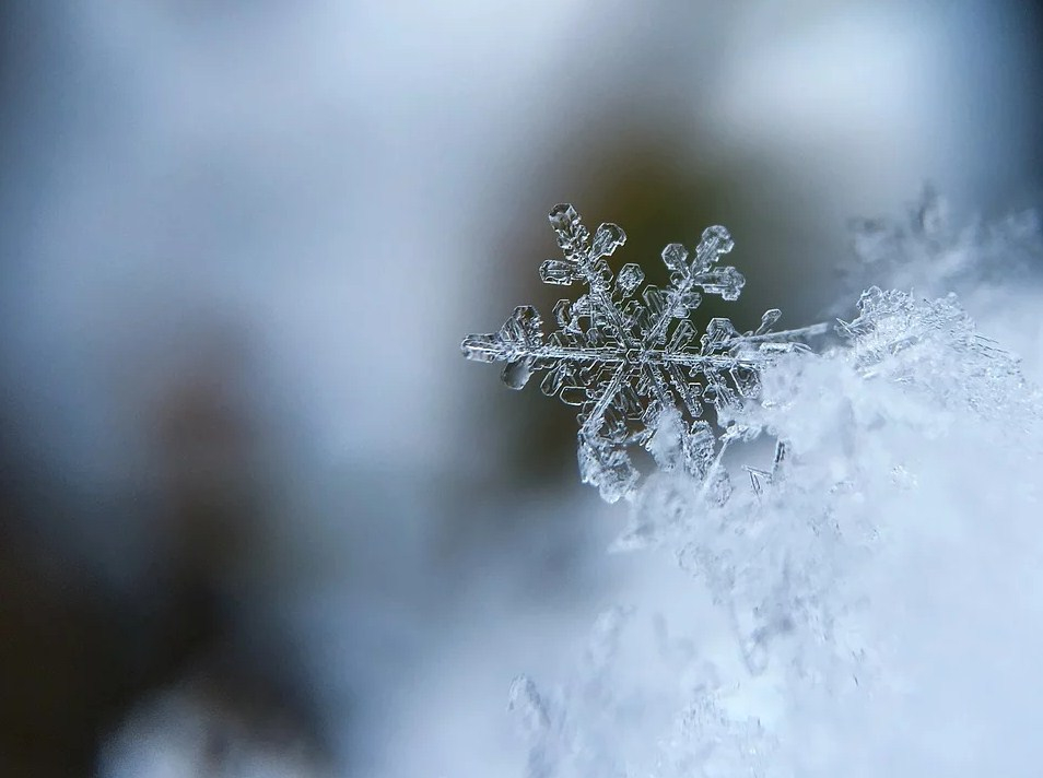 Морозные каникулы: какая погода будет в первую неделю января в Сыктывкаре