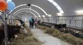 В Коми появилось две новые семейные фермы