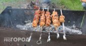 "Мертвое" мясо: в Роскачестве рассказали, сколько можно хранить готовый шашлык