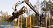 В Коми финансирование лесной отрасли увеличат на 70 миллионов рублей 