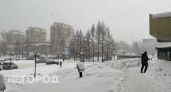 Погода в Коми 20 января: порывистый ветер и снегопады
