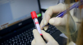 Эксперты определили самую «глупую» группу крови