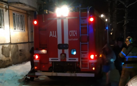 В Сыктывкаре пожарные вывели девять человек из огненной западни (фото)