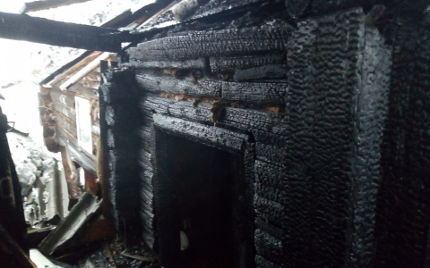 В Коми перегретая печь превратила баню в обугленные руины (фото)