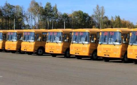 В Коми больше половины школьных автобусов не получили лицензии
