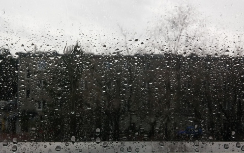 Погода в Сыктывкаре на 21 октября: дождь, ветер и тучи