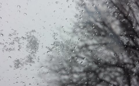Погода в Сыктывкаре на 24 октября: снег, дождь и небольшой ветер