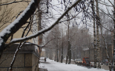 Погода в Сыктывкаре на 18 января: холода, солнце и ночной снегопад
