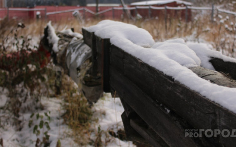 Погода в Сыктывкаре на 24 января: холода и снегопады