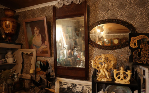 Старинные зеркала, электробигуди и чучела: фоторепортаж из сыктывкарской барахолки