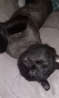 Евгения Зооняня