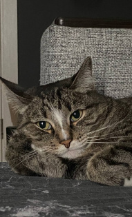 Ну, рассказывай…