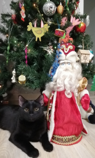 Самый главный подарок Мишенька