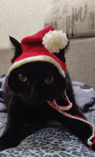 Славянский взгляд