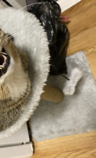 Мариана Лепилова