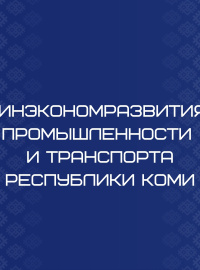 Фото специалиста Министерство экономического развития Коми