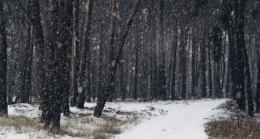 В Коми объявлено штормовое предупреждение