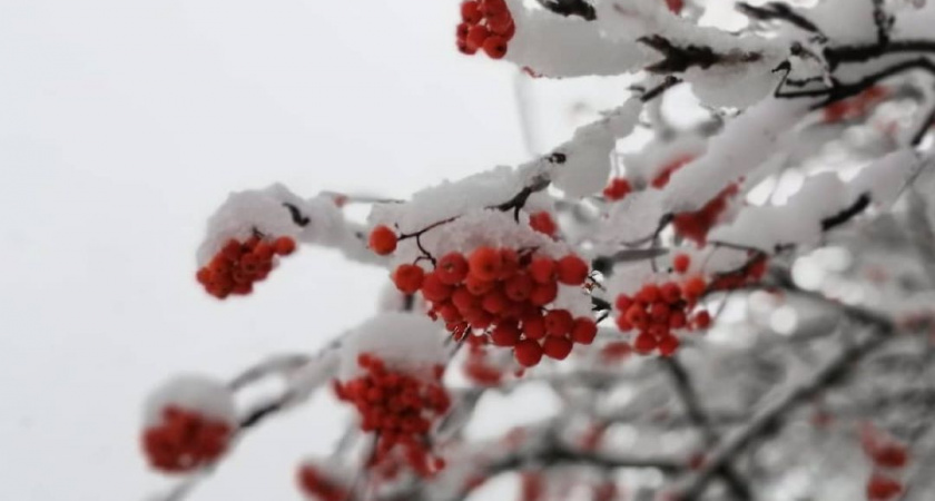 В Сыктывкаре выпал первый снег: подборка красивых фото из Instagram