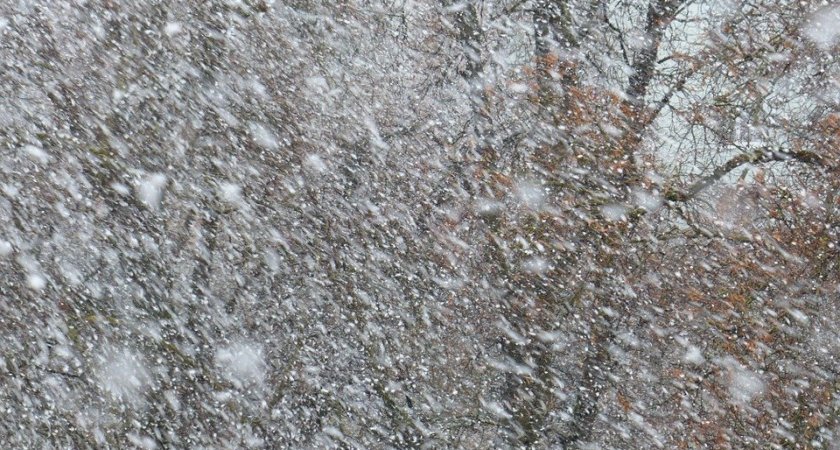 Мощнейший снегопад: в МЧС Коми объявили штормовое предупреждение
