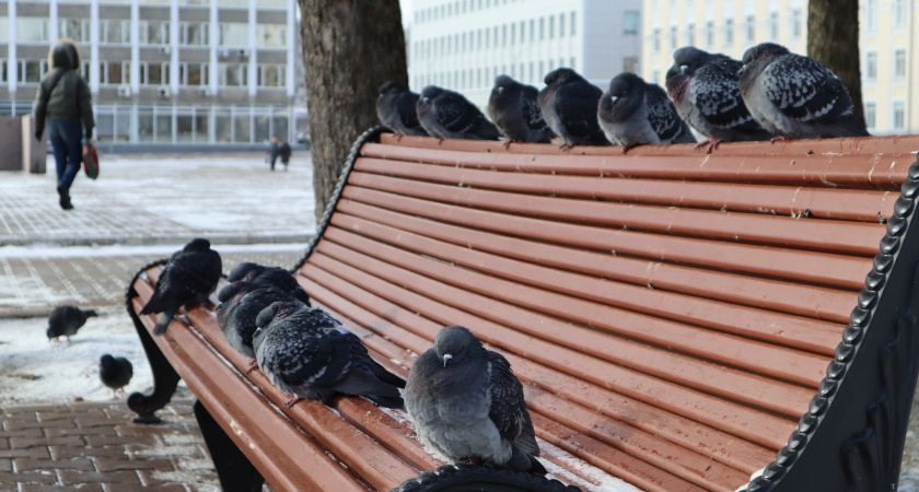 Ссоры, обострения и снижение иммунитета: гороскоп на 31 октября