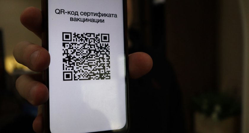 Законопроекты о QR-кодах в общественных местах и на транспорте внесли в Госдуму